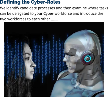 Defining the Cyber-Roles We identify candidate processes and then examine where tasks can be delegated to your Cyber-workforce and introduce the two workforces to each other …….