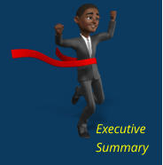 Executive Summary